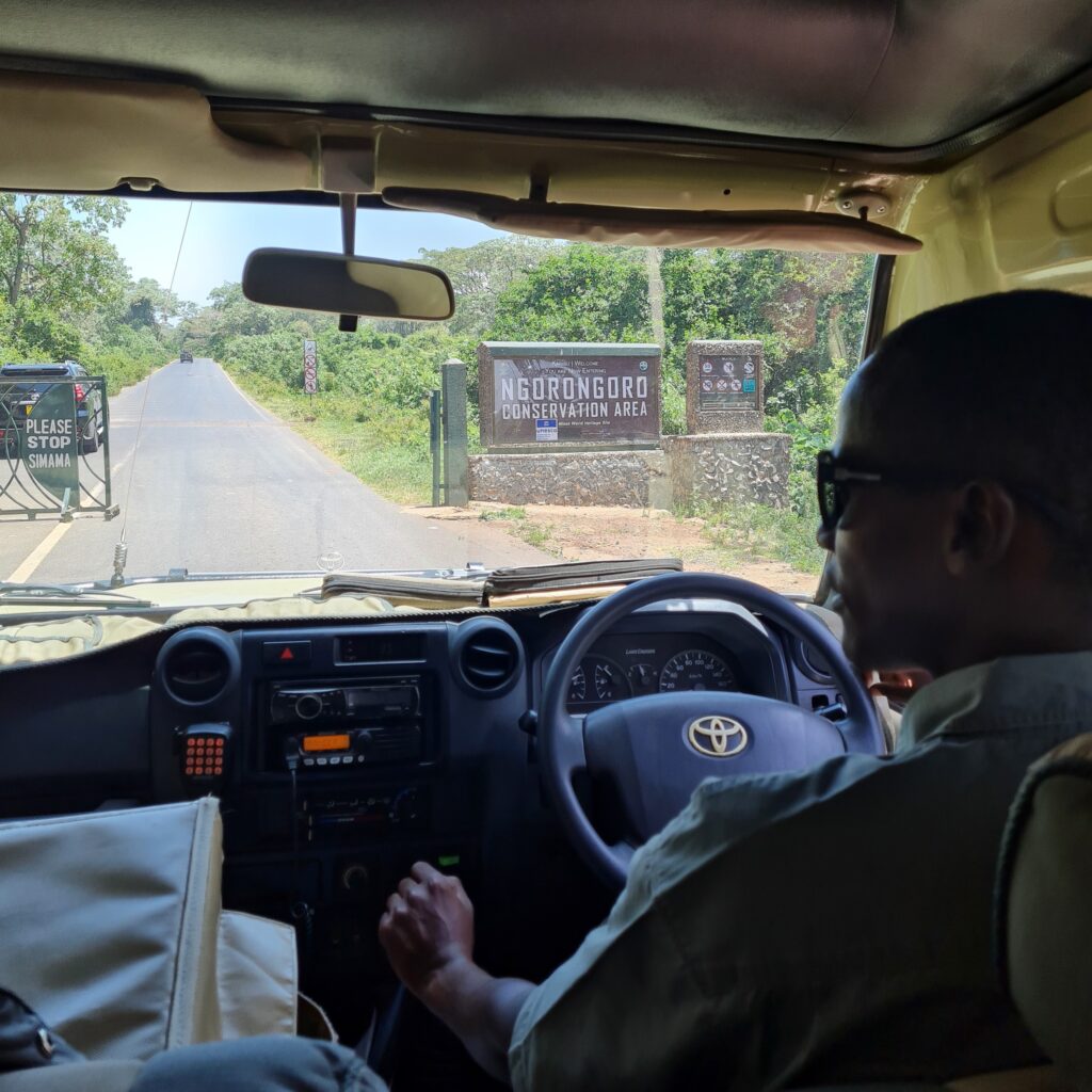 Mandela, guide de safari, au volant de sa Jeep à l'entrée du parc du cratère du Ngorongoro​ en Tanzanie.