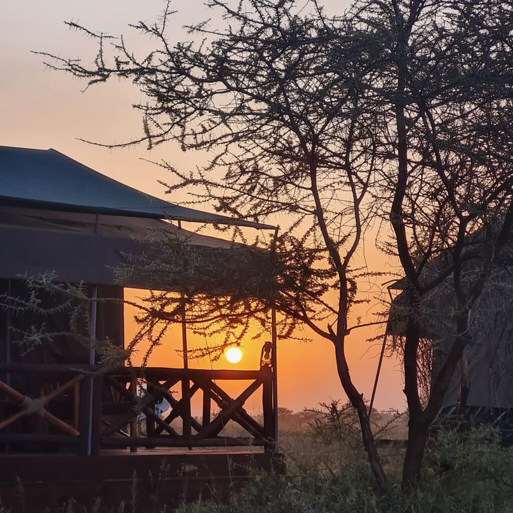 Tente / lodge avec coucher sur soleil dans le parc de Serengeti pendant un safari en Tanzanie.