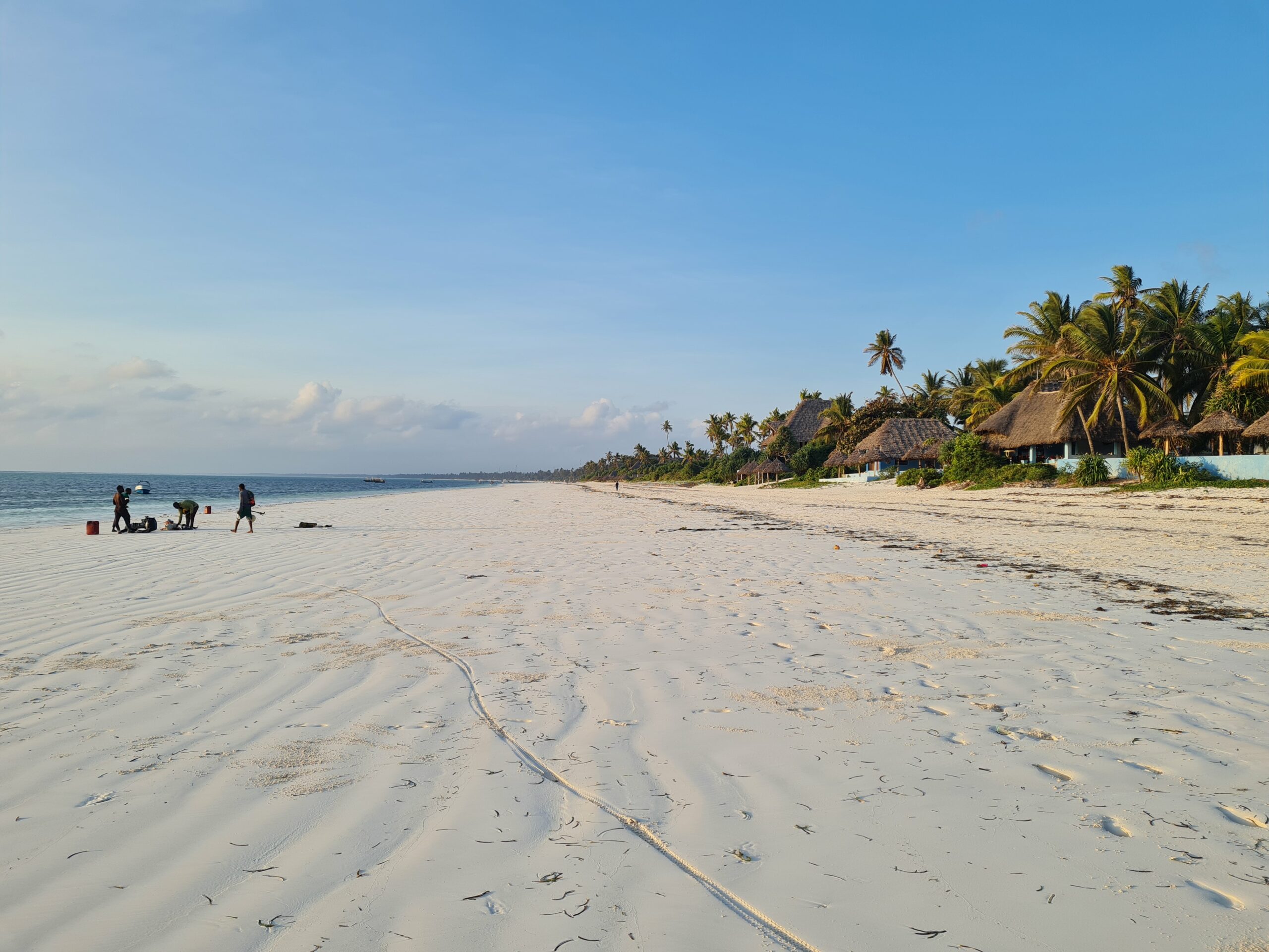 Plage paradisiaque de sable blanc à Zanzibar en Tanzanie. Palmiers et maasai le matin.