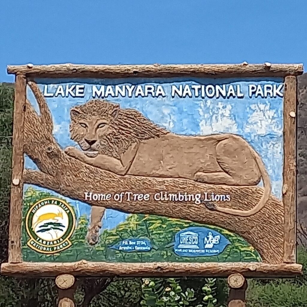 Illustration d'un lion sur un panneau à l'entrée du parc national du lac Manyara​ en Tanzanie.